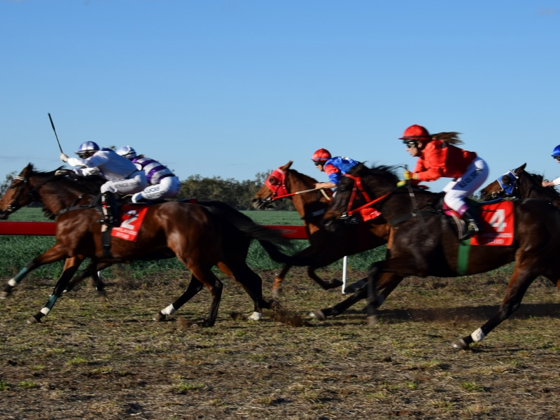 Warra events horse racing
